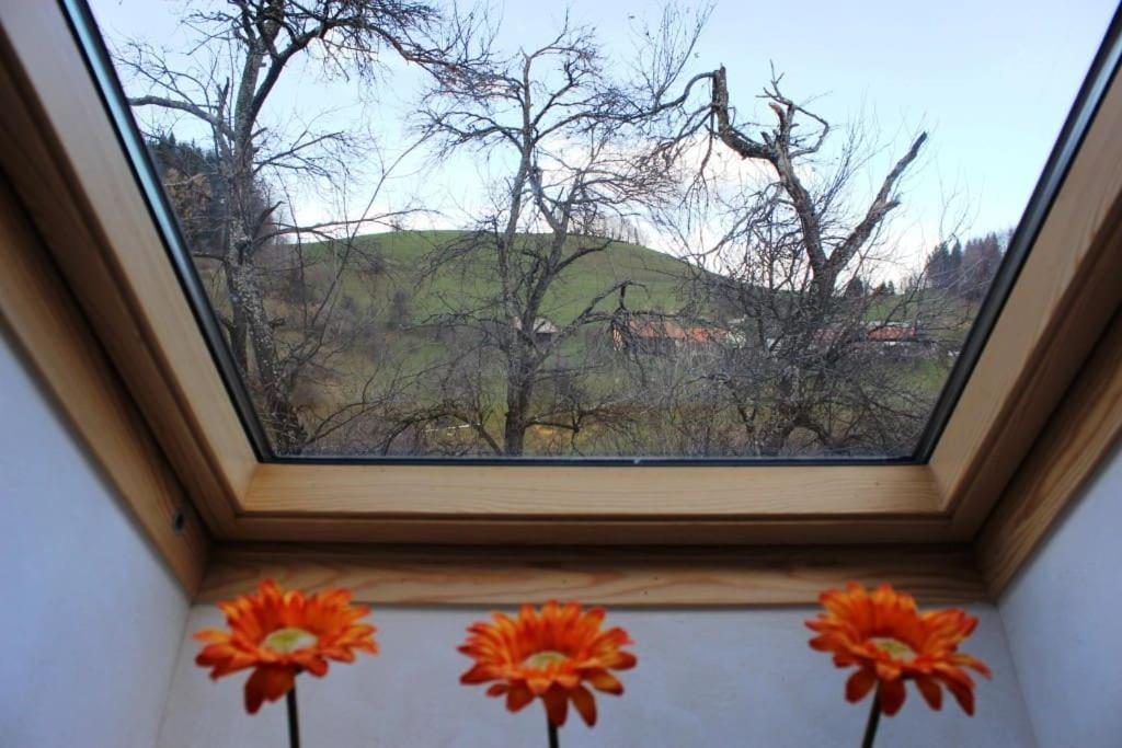 Stunning Hills View